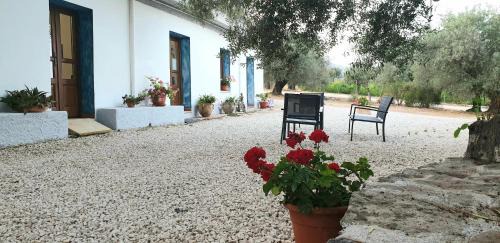 Dorgali Casa | Agriturismo Su Barcu