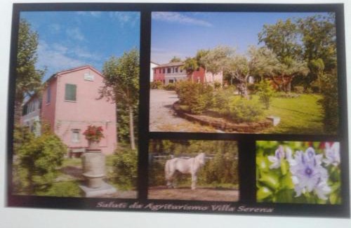 Vigonovo Casa | Agriturismo Villa Serena