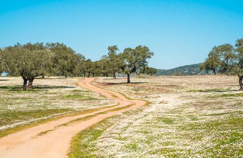 Montemor-o-Novo Casa | Agro-Turismo Herdade do Carneiro