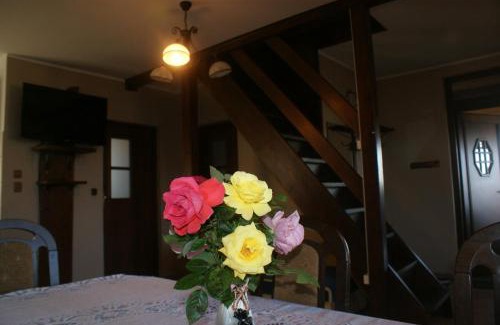 Gardna Wielka Casa | Agrodomki Okej - Dom Oleńka