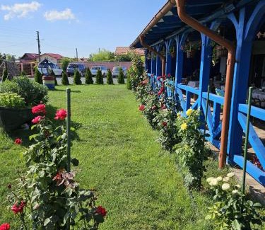 Murighiol Casa | Agropensiuea Casa Uncu