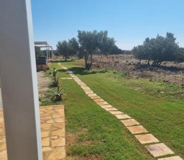 Patsianos Otro | Agros simple living