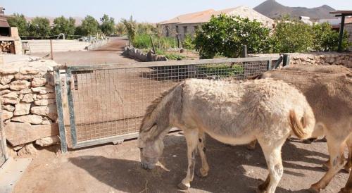 Tiscamanita Casa | Agroturismo La Gayria
