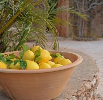 Felanitx Casa | Agroturismo Sa Pletassa