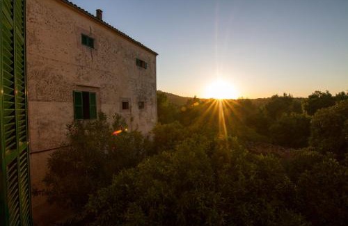 Petra Casa | Agroturismo Son Sant Andreu