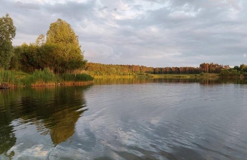 Miszewko Apartamento | Agroturystka przy lesie