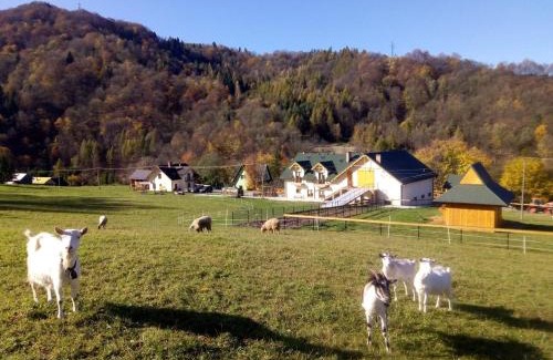 Polany Casa | Agroturystyka Królowo