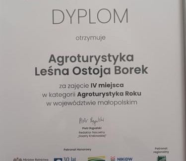 Bydlin Apartamento | Agroturystyka Leśna Ostoja Borek