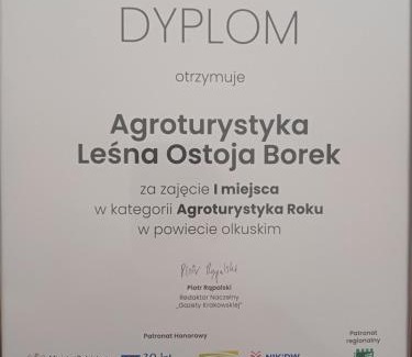 Bydlin Apartamento | Agroturystyka Leśna Ostoja Borek