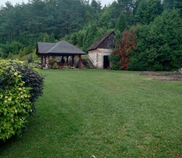 Bydlin Apartamento | Agroturystyka Leśna Ostoja Borek