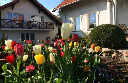 Blanki Casa | agroturystyka Orzechowe Wzgórze