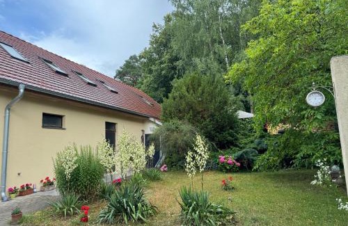 Rzepin Apartamento | Agroturystyka Staroscin