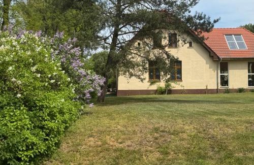 Rzepin Apartamento | Agroturystyka Staroscin