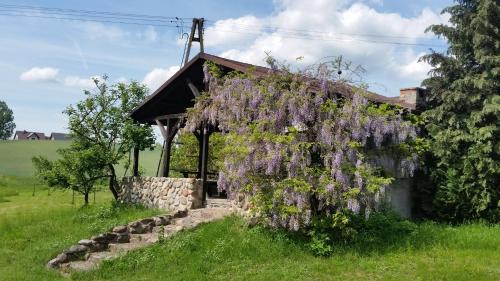 gmina Kurzetnik Casa | Agroturystyka Szafarnia 19
