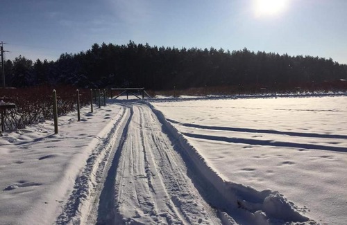 Stromiec Casa | Agroturystyka Zacisze nad Pilicą