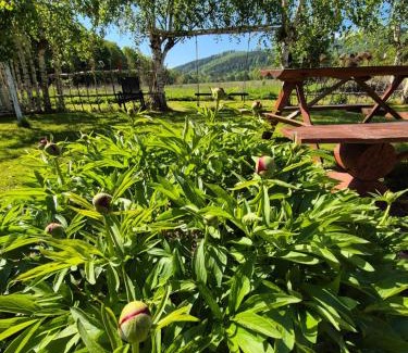 Stara Łomnica Casa | Agroturystyka Zacisze