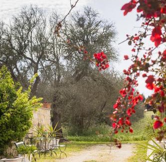 Uggiano la Chiesa Casa | Ai Lardari a Uggiano La Chiesa - nuova gestione