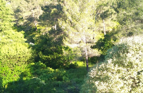 Carnoux-en-Provence Apartamento | AIR-CONDITIONED APARTMENT FOR 6 PERSONNE VIEW OF THE PINES
