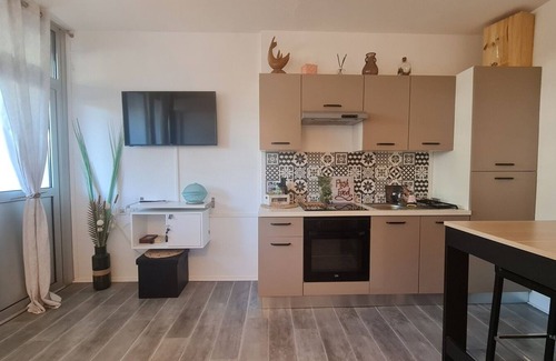 Le Grau-Du-Roi Apartamento | Air-conditioned ground floor with terrace, between beach and port. Pets allowed