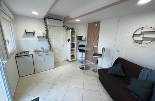 Loire-sur-Rhone Apartamento | Air-conditioned, self-contained studio with private terrace