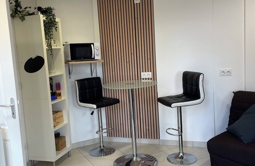 Loire-sur-Rhone Apartamento | Air-conditioned, self-contained studio with private terrace