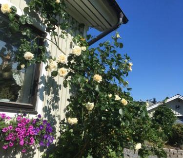 Olofstorp Casa | AirbnbEkåsberg