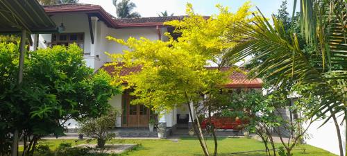 Andiambalama Casa | Airport A4 Travelers Lodge - Free Airport Pick Up & Drop 24HRS