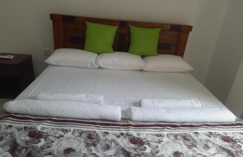 Andiambalama Apartamento | Airport and Paddy View Home Stay