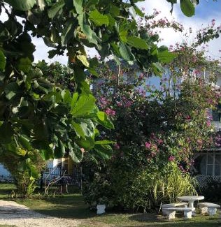 Montego Bay Apartamento | Airport Beach Hotel