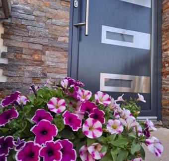 Surcin Apartamento | Airport Happy House