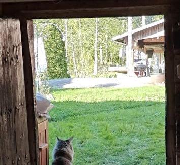 Vehmaa Apartamento | Aitta