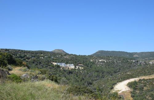 Neo Chorio Apartamento | AKAMAS THRONE APARTMENTS