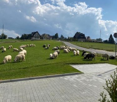 Zab Casa | Akor House domki w Zębie