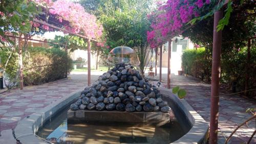 Nizwa Complejo | Al Bayan Palms
