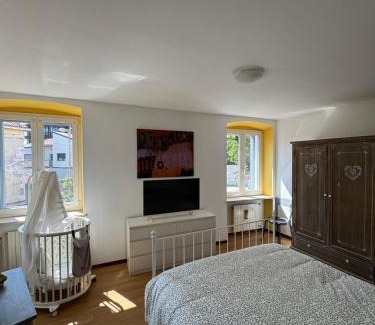 Gorizia Apartamento | Al vecchio convento, centro storico