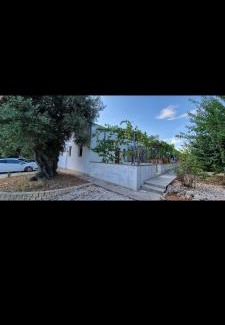 Fasano Casa | al vecchio ulivo