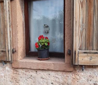 Ponte nelle Alpi Casa | Al Viandante Casa Rosa