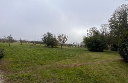 Suzzano Casa | Al Vigneto