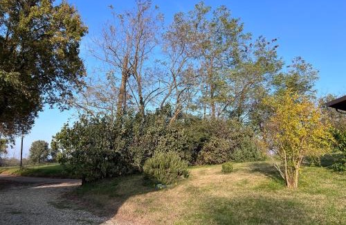 Suzzano Casa | Al Vigneto