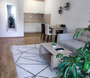 Novi Sad Apartamento | Alacaster apartment with PRIVATE PARKING
