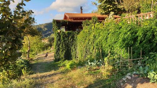 Alagonia Chalet De Esquí | Alagonia Country Homes