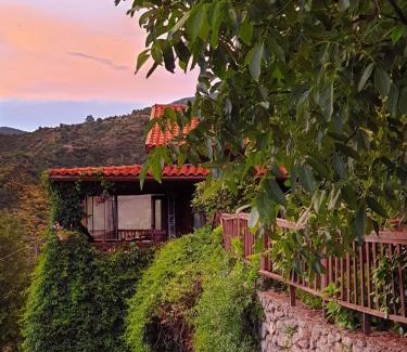 Alagonia Chalet De Esquí | Alagonia Country Homes