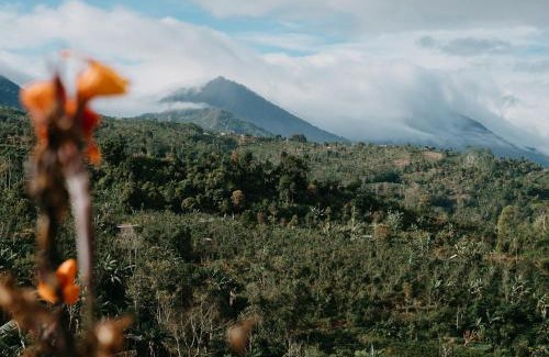 Gobleg Otro | Alam Munduk Glamping