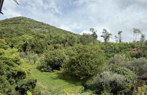 Sant'Angelo d'Alife Cama Y Desayuno | Alba Matesina