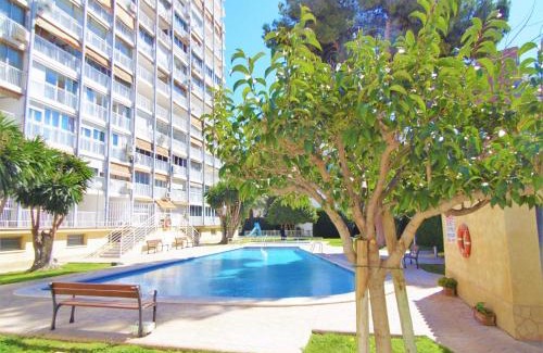 Benidorm Apartamento | Albatros 11-5