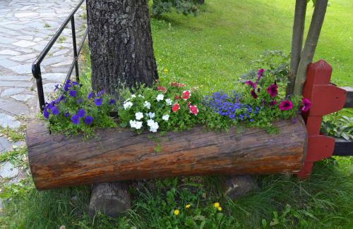 Aprica Hotel | Albergo Cioccarelli