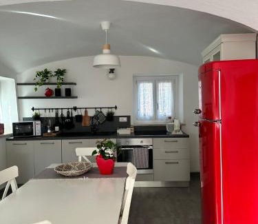 Cuneo Casa | Albero della vita