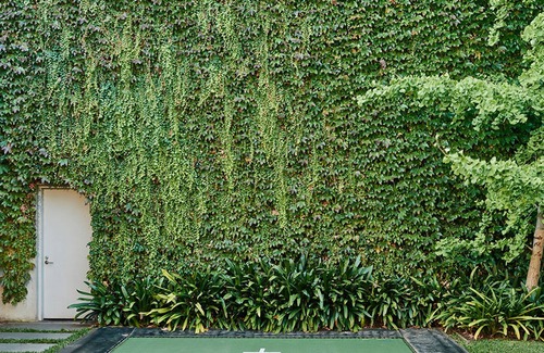 South Melbourne Casa | Albert Road - Santuario urbano de lujo