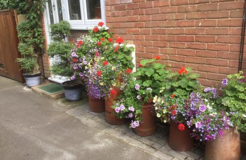 New Forest District Cama Y Desayuno | Albertine ,A warm welcome awaits you ,Offering room only or bed and breakfast ,Ideal location for Solent Way ,High Street ,Isle of Wight ,New Forest