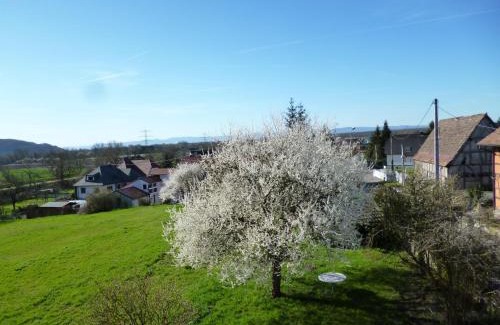 Kembs Apartamento | Albrecht guest apartement